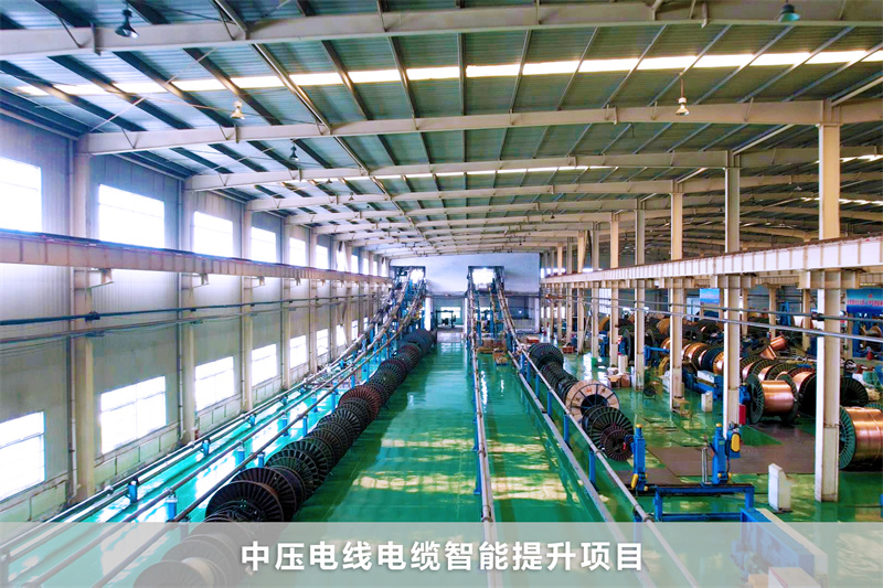 天将图库香港免费图库